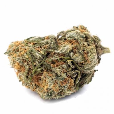 Juicy Jack - Sativa Dominant Hybrid