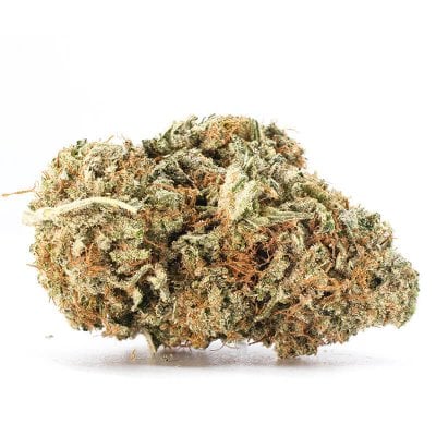 Violator kush - Indica Dominant Hybrid