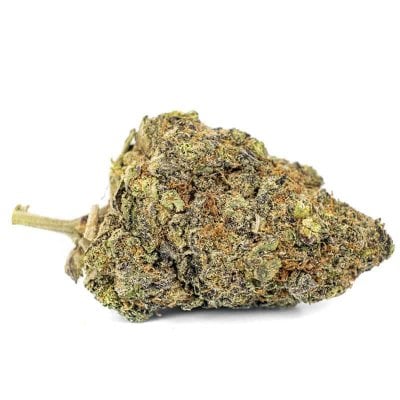 Chocolate Kush - Indica Dominant Hybrid